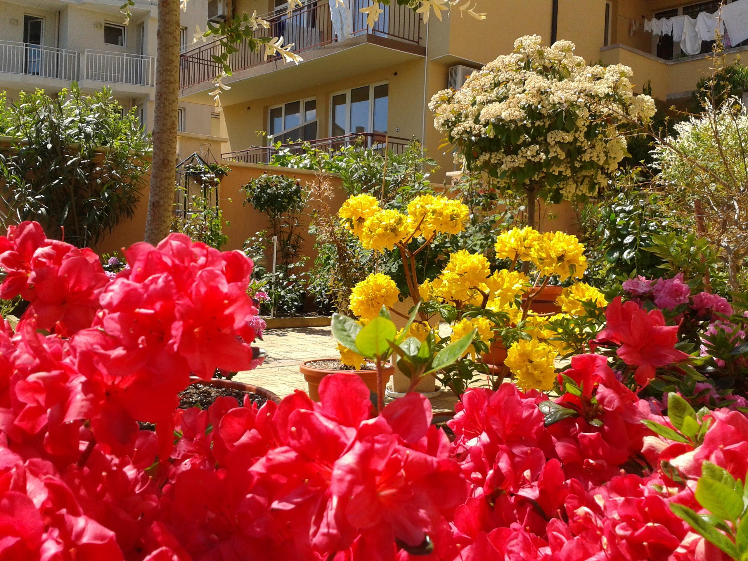Chuchulev Hotel Sozopol