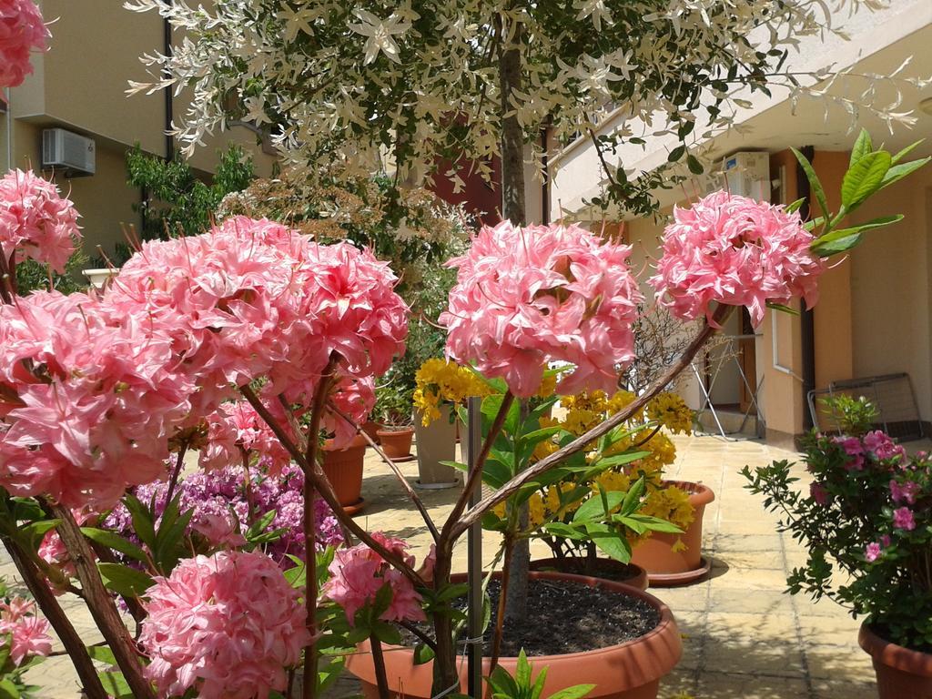 Hotel Chuchulev Sozopol